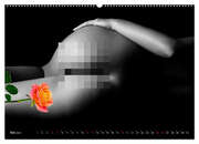 Erotik Art etwas Blumig POMBASTISCH (Wandkalender 2024 DIN A2 quer), CALVENDO Monatskalender - Abbildung 7