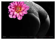 Erotik Art etwas Blumig POMBASTISCH (Wandkalender 2024 DIN A2 quer), CALVENDO Monatskalender - Abbildung 9