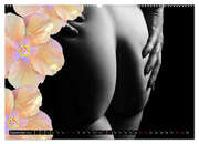 Erotik Art etwas Blumig POMBASTISCH (Wandkalender 2024 DIN A2 quer), CALVENDO Monatskalender - Abbildung 11