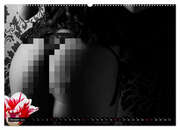 Erotik Art etwas Blumig POMBASTISCH (Wandkalender 2024 DIN A2 quer), CALVENDO Monatskalender - Abbildung 12