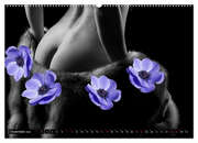 Erotik Art etwas Blumig POMBASTISCH (Wandkalender 2024 DIN A2 quer), CALVENDO Monatskalender - Abbildung 14