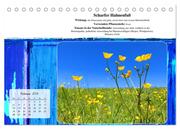 Gesundheit vor deiner Haustüre - Heilpflanzen am Alpenrand - Wirkung, Anwendungsbereiche und Teezubereitung (Tischkalender 2024 DIN A5 quer), CALVENDO Monatskalender - Abbildung 4