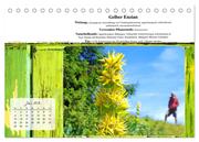 Gesundheit vor deiner Haustüre - Heilpflanzen am Alpenrand - Wirkung, Anwendungsbereiche und Teezubereitung (Tischkalender 2024 DIN A5 quer), CALVENDO Monatskalender - Abbildung 9