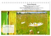 Gesundheit vor deiner Haustüre - Heilpflanzen am Alpenrand - Wirkung, Anwendungsbereiche und Teezubereitung (Tischkalender 2024 DIN A5 quer), CALVENDO Monatskalender - Abbildung 11