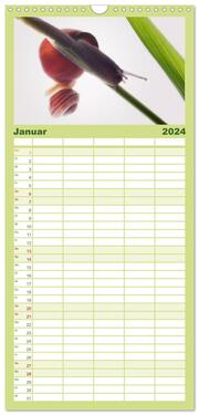 Familienplaner 2024 - Schnecken FineArt mit 5 Spalten (Wandkalender, 21 x 45 cm) CALVENDO - Abbildung 2