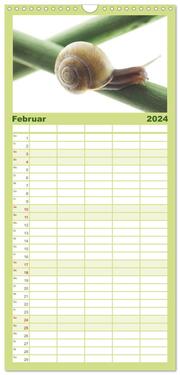 Familienplaner 2024 - Schnecken FineArt mit 5 Spalten (Wandkalender, 21 x 45 cm) CALVENDO - Abbildung 3