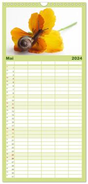 Familienplaner 2024 - Schnecken FineArt mit 5 Spalten (Wandkalender, 21 x 45 cm) CALVENDO - Abbildung 6