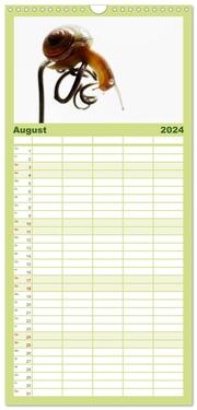 Familienplaner 2024 - Schnecken FineArt mit 5 Spalten (Wandkalender, 21 x 45 cm) CALVENDO - Abbildung 9