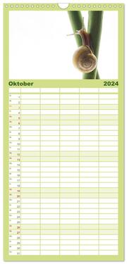 Familienplaner 2024 - Schnecken FineArt mit 5 Spalten (Wandkalender, 21 x 45 cm) CALVENDO - Abbildung 11
