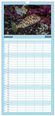 Familienplaner 2024 - Madeira, eine Tauchreise mit 5 Spalten (Wandkalender, 21 x 45 cm) CALVENDO - Abbildung 2