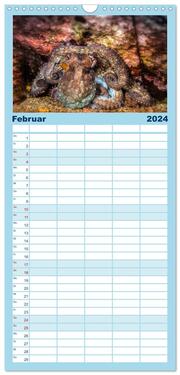 Familienplaner 2024 - Madeira, eine Tauchreise mit 5 Spalten (Wandkalender, 21 x 45 cm) CALVENDO - Abbildung 3