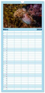 Familienplaner 2024 - Madeira, eine Tauchreise mit 5 Spalten (Wandkalender, 21 x 45 cm) CALVENDO - Abbildung 4
