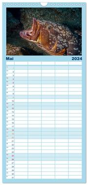 Familienplaner 2024 - Madeira, eine Tauchreise mit 5 Spalten (Wandkalender, 21 x 45 cm) CALVENDO - Abbildung 6