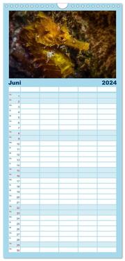 Familienplaner 2024 - Madeira, eine Tauchreise mit 5 Spalten (Wandkalender, 21 x 45 cm) CALVENDO - Abbildung 7