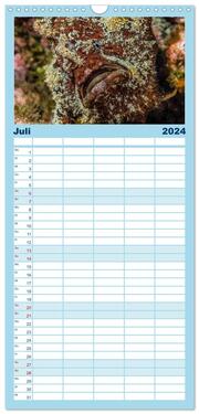 Familienplaner 2024 - Madeira, eine Tauchreise mit 5 Spalten (Wandkalender, 21 x 45 cm) CALVENDO - Abbildung 8