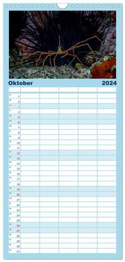 Familienplaner 2024 - Madeira, eine Tauchreise mit 5 Spalten (Wandkalender, 21 x 45 cm) CALVENDO - Abbildung 11