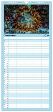 Familienplaner 2024 - Madeira, eine Tauchreise mit 5 Spalten (Wandkalender, 21 x 45 cm) CALVENDO - Abbildung 13