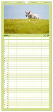 Familienplaner 2024 - Unter Schafen - Wegbegleiter auf Reisen mit 5 Spalten (Wandkalender, 21 x 45 cm) CALVENDO - Abbildung 4
