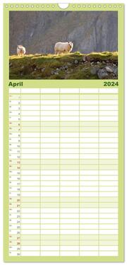 Familienplaner 2024 - Unter Schafen - Wegbegleiter auf Reisen mit 5 Spalten (Wandkalender, 21 x 45 cm) CALVENDO - Abbildung 5