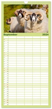 Familienplaner 2024 - Unter Schafen - Wegbegleiter auf Reisen mit 5 Spalten (Wandkalender, 21 x 45 cm) CALVENDO - Abbildung 10