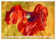 Mohnblumen. Leuchtender Liebreiz auf Wiesen und in Gärten (hochwertiger Premium Wandkalender 2024 DIN A2 quer), Kunstdruck in Hochglanz - Abbildung 10