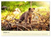 Scheue Wildtiere in heimischen Wäldern und Bergen (Wandkalender 2024 DIN A3 quer), CALVENDO Monatskalender - Abbildung 12