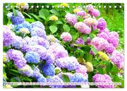 Hortensien. Zauberhafte Blütenpracht (Tischkalender 2024 DIN A5 quer), CALVENDO Monatskalender - Abbildung 4