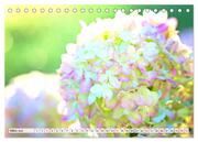Hortensien. Zauberhafte Blütenpracht (Tischkalender 2024 DIN A5 quer), CALVENDO Monatskalender - Abbildung 5