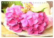 Hortensien. Zauberhafte Blütenpracht (Tischkalender 2024 DIN A5 quer), CALVENDO Monatskalender - Abbildung 8