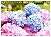 Hortensien. Zauberhafte Blütenpracht (Tischkalender 2024 DIN A5 quer), CALVENDO Monatskalender - Abbildung 10