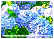 Hortensien. Zauberhafte Blütenpracht (Tischkalender 2024 DIN A5 quer), CALVENDO Monatskalender - Abbildung 12