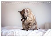 Wildes Wohnzimmer - Die Bengalkatze (Tischkalender 2024 DIN A5 quer), CALVENDO Monatskalender - Abbildung 13