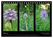 Heimische Orchideen im Dreierpack (Tischkalender 2024 DIN A5 quer), CALVENDO Monatskalender - Abbildung 5