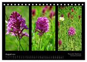 Heimische Orchideen im Dreierpack (Tischkalender 2024 DIN A5 quer), CALVENDO Monatskalender - Abbildung 10