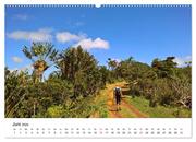 Mauritius - Wanderimpressionen von Rolf Dietz (Wandkalender 2024 DIN A2 quer), CALVENDO Monatskalender - Abbildung 8
