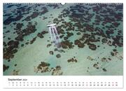 Mauritius - Wanderimpressionen von Rolf Dietz (Wandkalender 2024 DIN A2 quer), CALVENDO Monatskalender - Abbildung 11