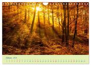 Harz Natur pur und Weltkulturerbe (Wandkalender 2024 DIN A4 quer), CALVENDO Monatskalender - Abbildung 12