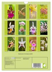 Betörende Orchideenvielfalt (Wandkalender 2024 DIN A4 hoch), CALVENDO Monatskalender - Abbildung 1