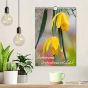 Betörende Orchideenvielfalt (Wandkalender 2024 DIN A4 hoch), CALVENDO Monatskalender - Abbildung 2