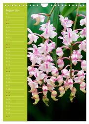 Betörende Orchideenvielfalt (Wandkalender 2024 DIN A4 hoch), CALVENDO Monatskalender - Abbildung 10