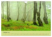 Das Erzgebirge Welterbe und Natur (Wandkalender 2024 DIN A4 quer), CALVENDO Monatskalender - Abbildung 12