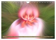 Reiki, die Lichtenergie - Aura-Reinigung (Wandkalender 2024 DIN A4 quer), CALVENDO Monatskalender - Abbildung 5