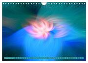 Reiki, die Lichtenergie - Aura-Reinigung (Wandkalender 2024 DIN A4 quer), CALVENDO Monatskalender - Abbildung 14