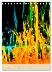Farbenabstraktion Farbenexplosion (Tischkalender 2024 DIN A5 hoch), CALVENDO Monatskalender - Abbildung 4