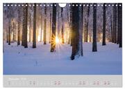 Thüringer Wald Das Grüne Herz Deutschlands (Wandkalender 2024 DIN A4 quer), CALVENDO Monatskalender - Abbildung 14