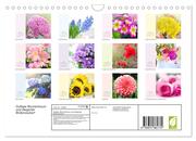 Duftiger Blumentraum und eleganter Blütenzauber! (Wandkalender 2024 DIN A4 quer), CALVENDO Monatskalender - Abbildung 1