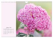 Duftiger Blumentraum und eleganter Blütenzauber! (Wandkalender 2024 DIN A4 quer), CALVENDO Monatskalender - Abbildung 3