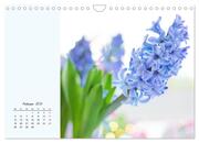 Duftiger Blumentraum und eleganter Blütenzauber! (Wandkalender 2024 DIN A4 quer), CALVENDO Monatskalender - Abbildung 4