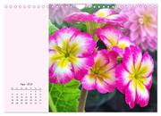 Duftiger Blumentraum und eleganter Blütenzauber! (Wandkalender 2024 DIN A4 quer), CALVENDO Monatskalender - Abbildung 5