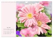 Duftiger Blumentraum und eleganter Blütenzauber! (Wandkalender 2024 DIN A4 quer), CALVENDO Monatskalender - Abbildung 7